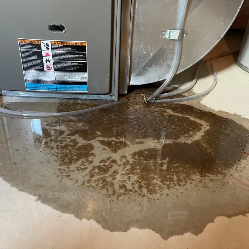 Appliance Leak Cleanup in Porterdale, GA